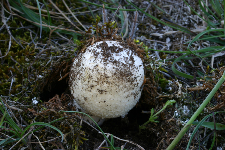 Aiutatemi ad uscire chiamandomi per nome